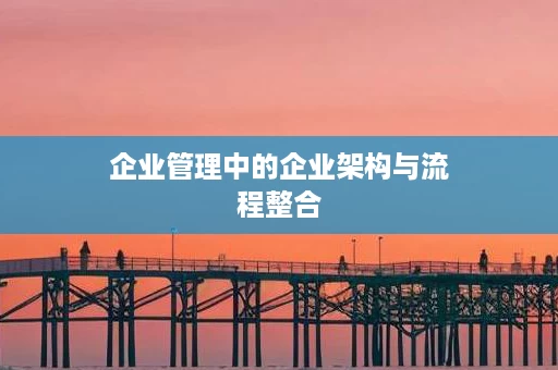 企业管理中的企业架构与流程整合