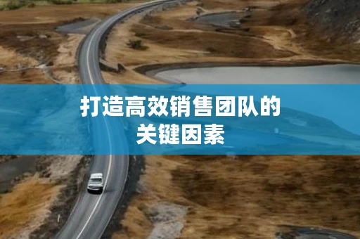 打造高效销售团队的关键因素