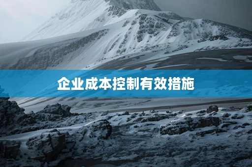企业成本控制有效措施