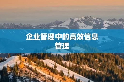 企业管理中的高效信息管理