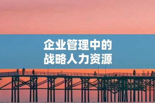 企业管理中的战略人力资源规划