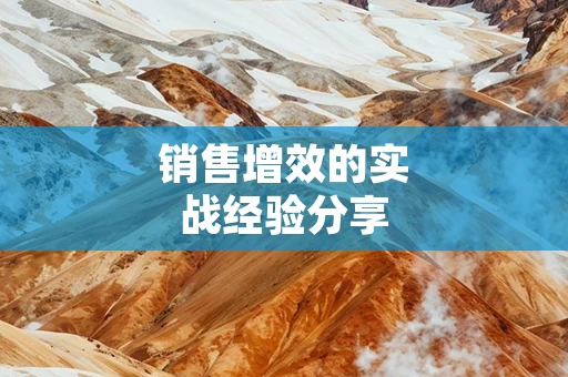 销售增效的实战经验分享