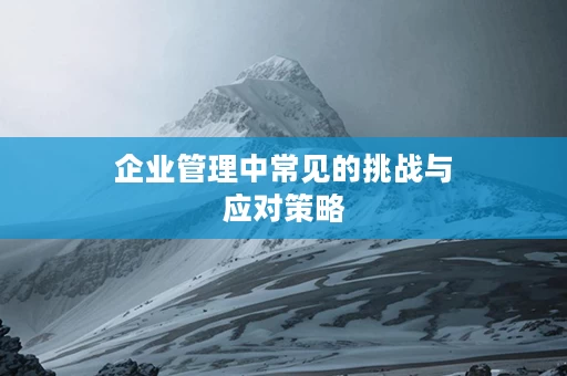 企业管理中常见的挑战与应对策略