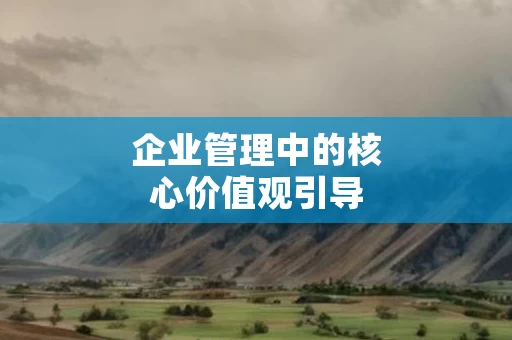 企业管理中的核心价值观引导