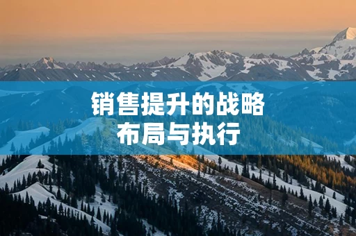 销售提升的战略布局与执行