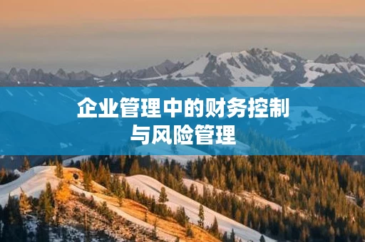 企业管理中的财务控制与风险管理