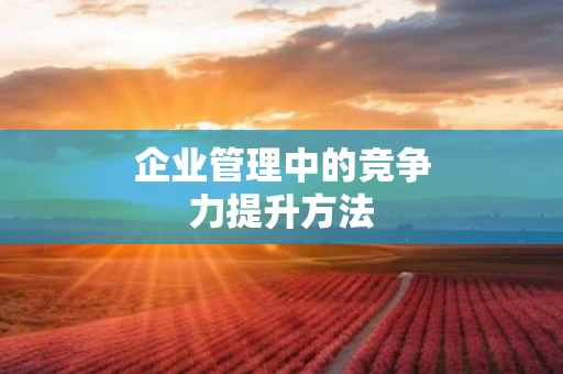 企业管理中的竞争力提升方法