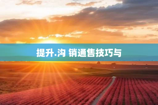 提升.沟 销通售技巧与