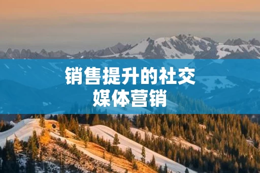 销售提升的社交媒体营销