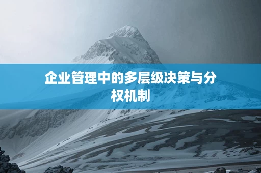 企业管理中的多层级决策与分权机制