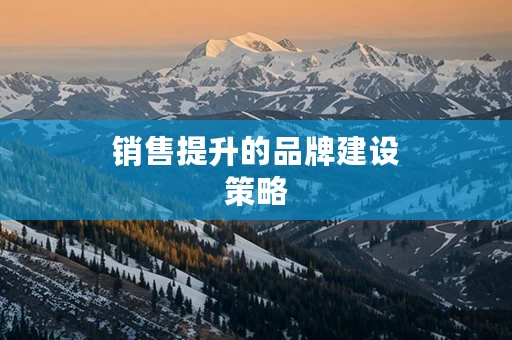 销售提升的品牌建设策略