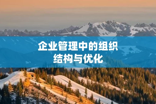 企业管理中的组织结构与优化