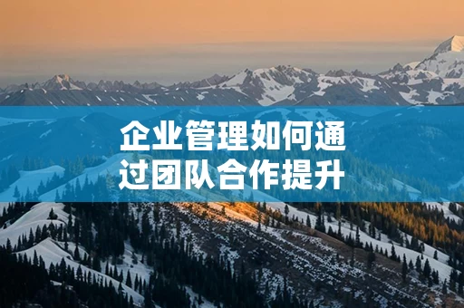 企业管理如何通过团队合作提升效益