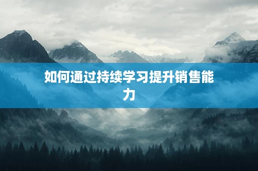 如何通过持续学习提升销售能力