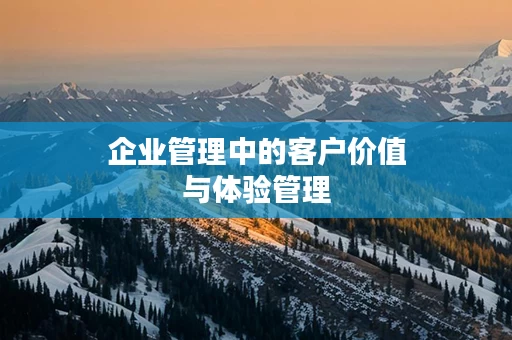企业管理中的客户价值与体验管理
