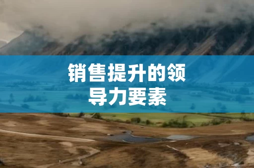 销售提升的领导力要素