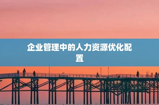 企业管理中的人力资源优化配置