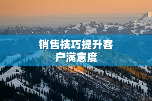 销售技巧提升客户满意度