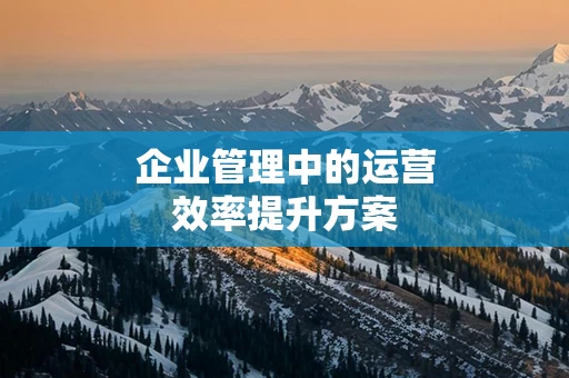 企业管理中的运营效率提升方案