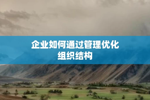 企业如何通过管理优化组织结构