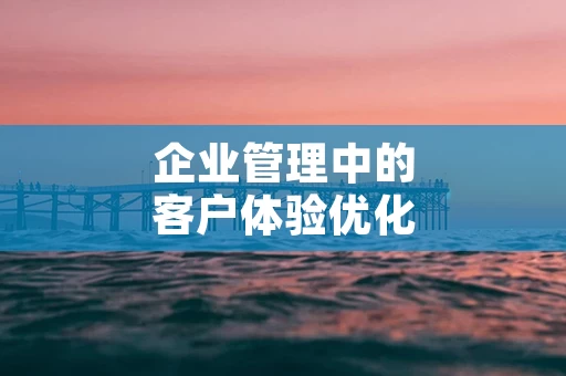 企业管理中的客户体验优化与服务创新