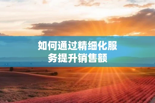 如何通过精细化服务提升销售额