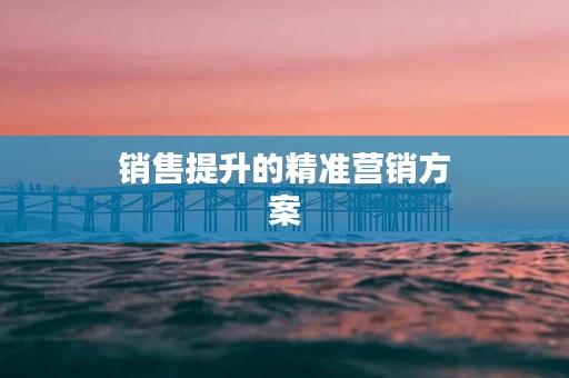 销售提升的精准营销方案