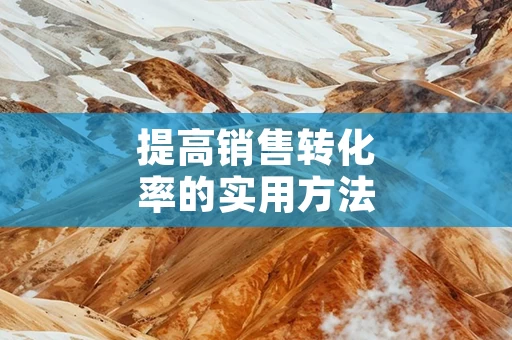 提高销售转化率的实用方法