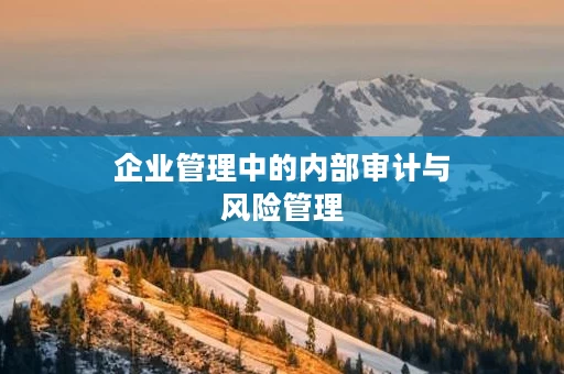 企业管理中的内部审计与风险管理