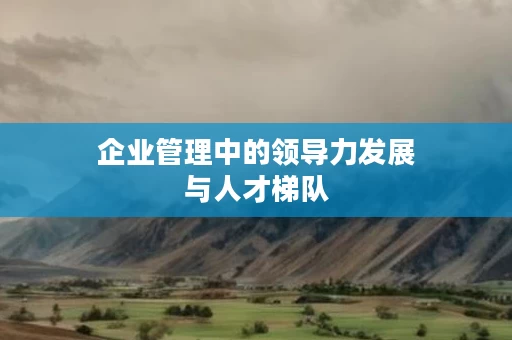 企业管理中的领导力发展与人才梯队