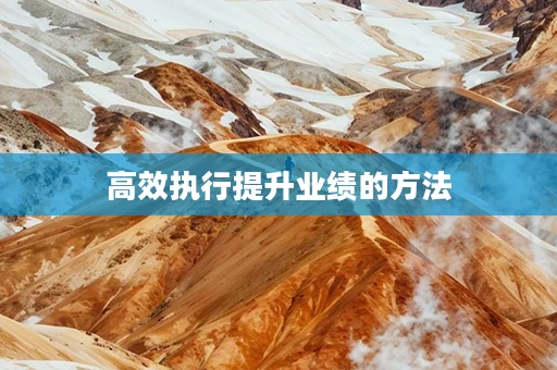 高效执行提升业绩的方法
