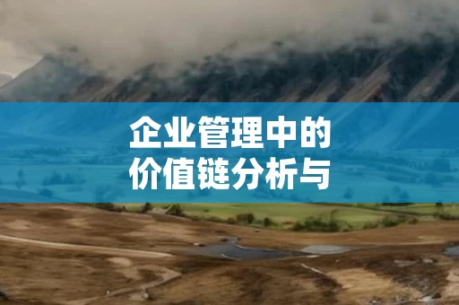 企业管理中的价值链分析与优化