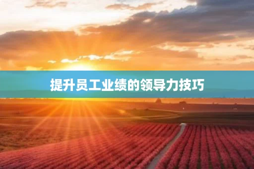 提升员工业绩的领导力技巧