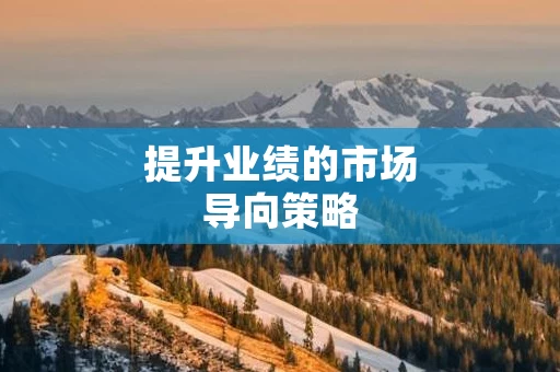 提升业绩的市场导向策略