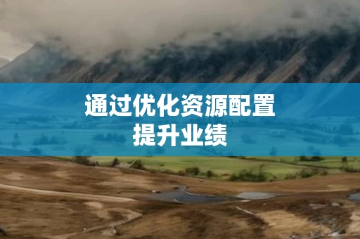 通过优化资源配置提升业绩