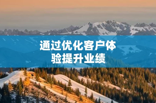 通过优化客户体验提升业绩