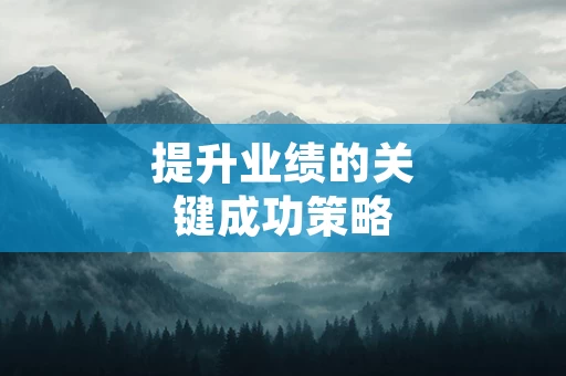 提升业绩的关键成功策略
