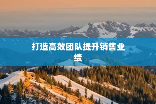 打造高效团队提升销售业绩
