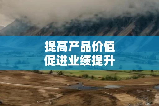 提高产品价值促进业绩提升