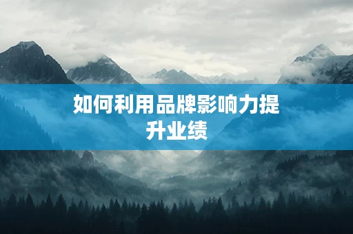 如何利用品牌影响力提升业绩