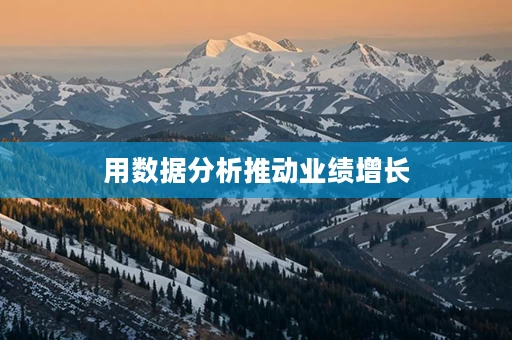 用数据分析推动业绩增长