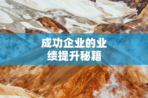 成功企业的业绩提升秘籍