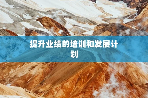 提升业绩的培训和发展计划