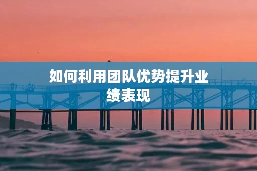 如何利用团队优势提升业绩表现