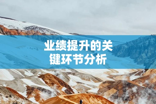 业绩提升的关键环节分析