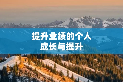 提升业绩的个人成长与提升