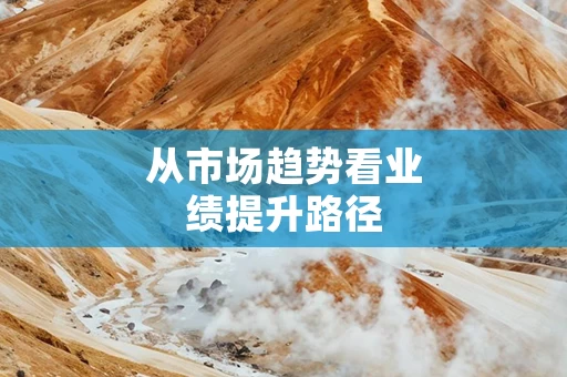 从市场趋势看业绩提升路径