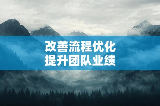 改善流程优化提升团队业绩