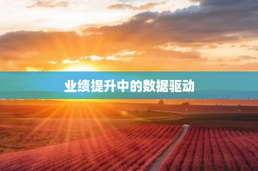 业绩提升中的数据驱动