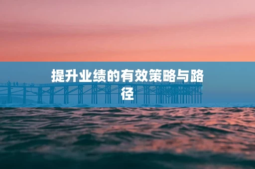 提升业绩的有效策略与路径